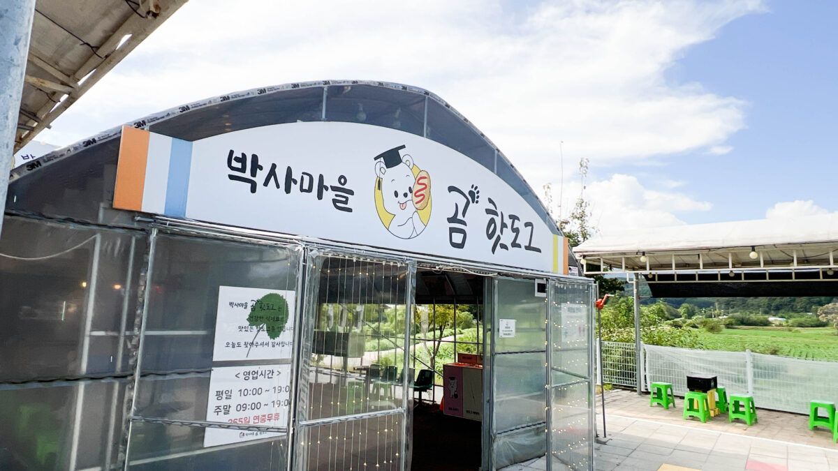 춘천맛집 박사마을 곰핫도그 내돈내산 시식후기